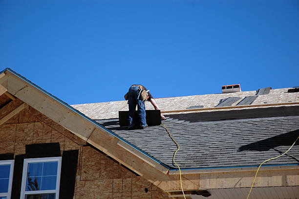 Roof Gutter Cleaning in Lansing, IL